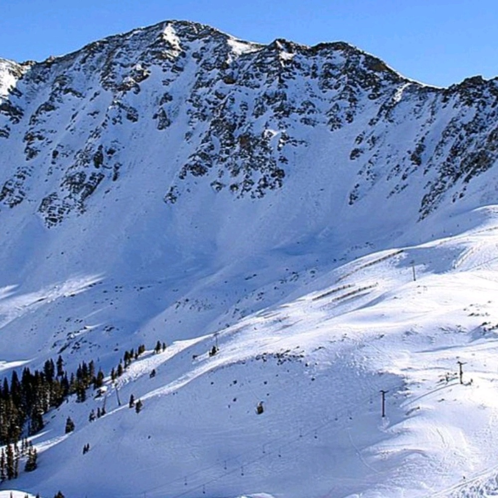 Meet your Posher, Terri